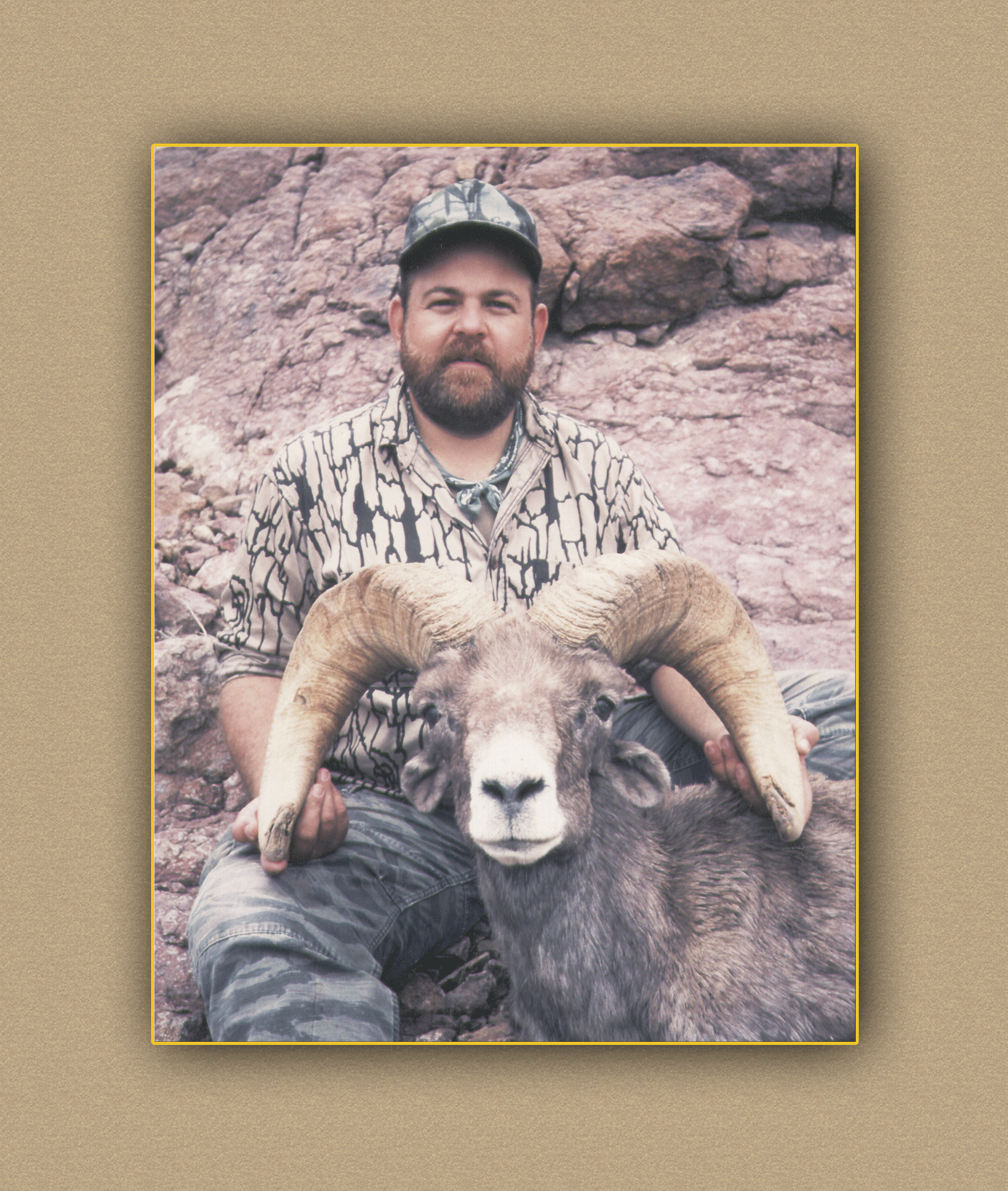 arizona hunting yellowhorn arizona bighorn sheep guiding outfitting deer elk antelope photography