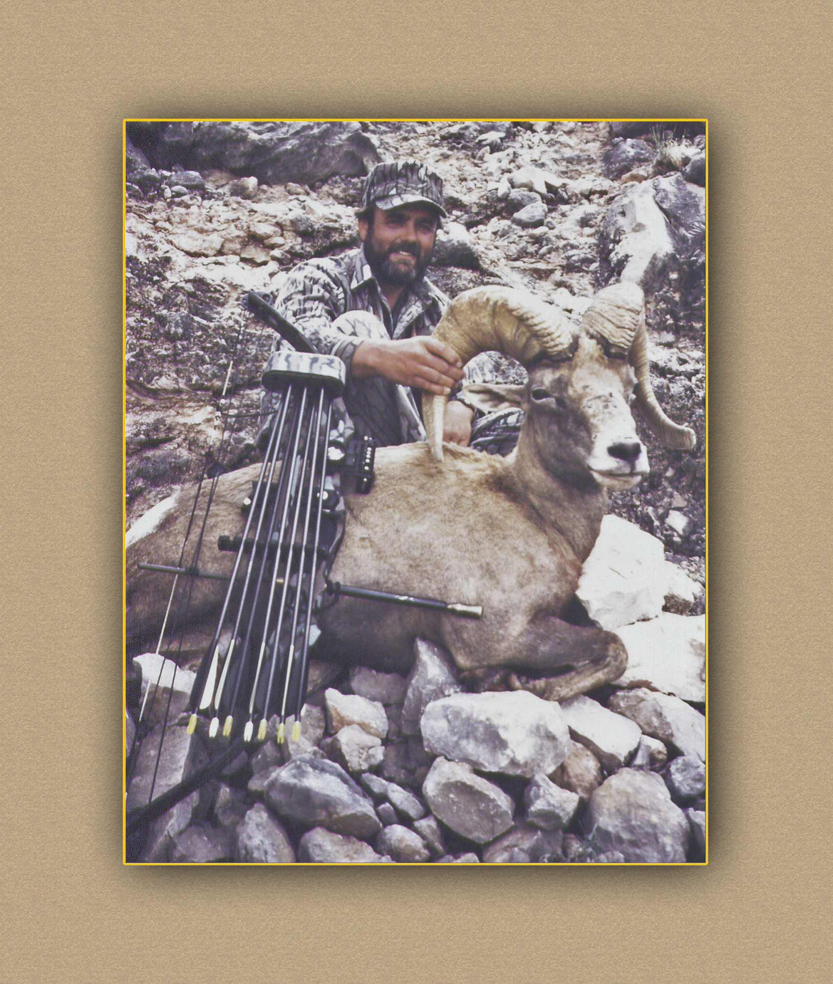 arizona hunting yellowhorn arizona bighorn sheep guiding outfitting deer elk antelope photography" width="252" height="252" border="0" /></a></div></td>     <td><div align="center"><a href="minnesota_sheep_wide.html"><img src="images/minnesota_sheep_thumb.jpg" alt="arizona hunting yellowhorn arizona bighorn sheep guiding outfitting deer elk antelope photography