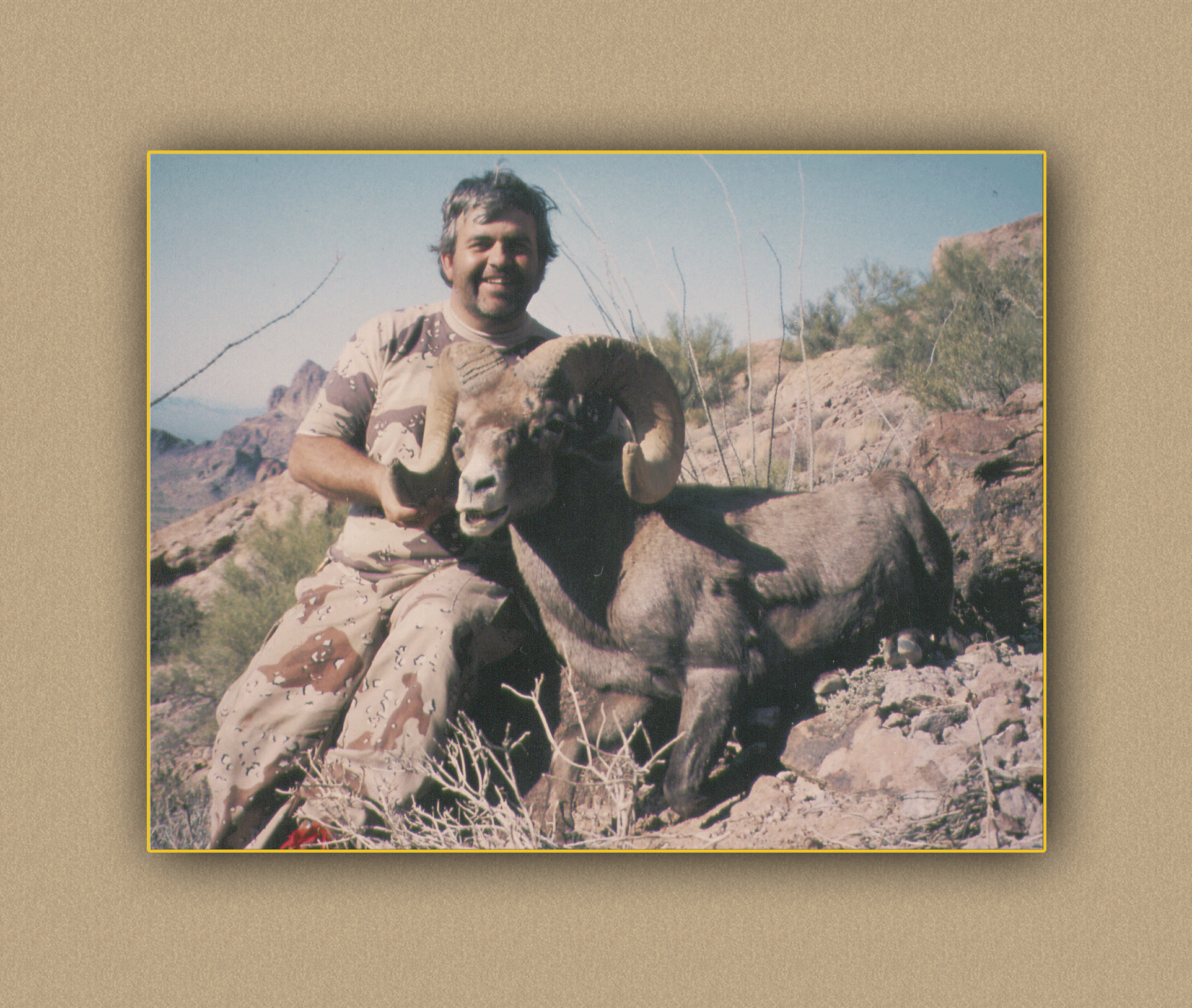 arizona hunting yellowhorn arizona bighorn sheep guiding outfitting deer elk antelope photography