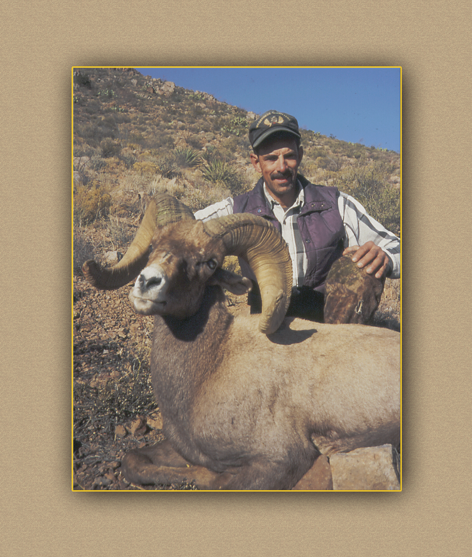 hunting yellowhorn bighorn sheep guiding outfitting deer elk antelope photography