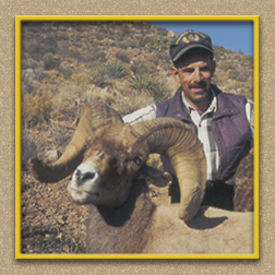 yellowhorn outfitters arizona hunting yellowhorn outfitters arizona bighorn sheep guiding outfitting deer elk antelope photography