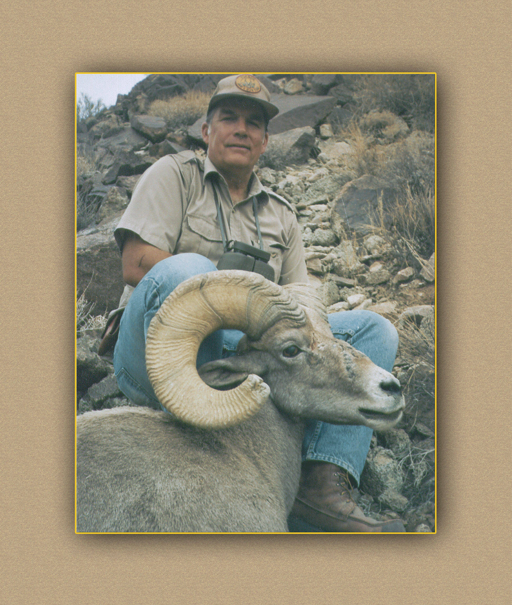 arizona hunting yellowhorn arizona bighorn sheep guiding outfitting deer elk antelope photography