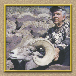 yellowhorn outfitters arizona hunting yellowhorn outfitters arizona bighorn sheep guiding outfitting deer elk antelope photography