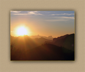arizona hunting yellowhorn arizona bighorn sheep guiding outfitting deer elk antelope photography