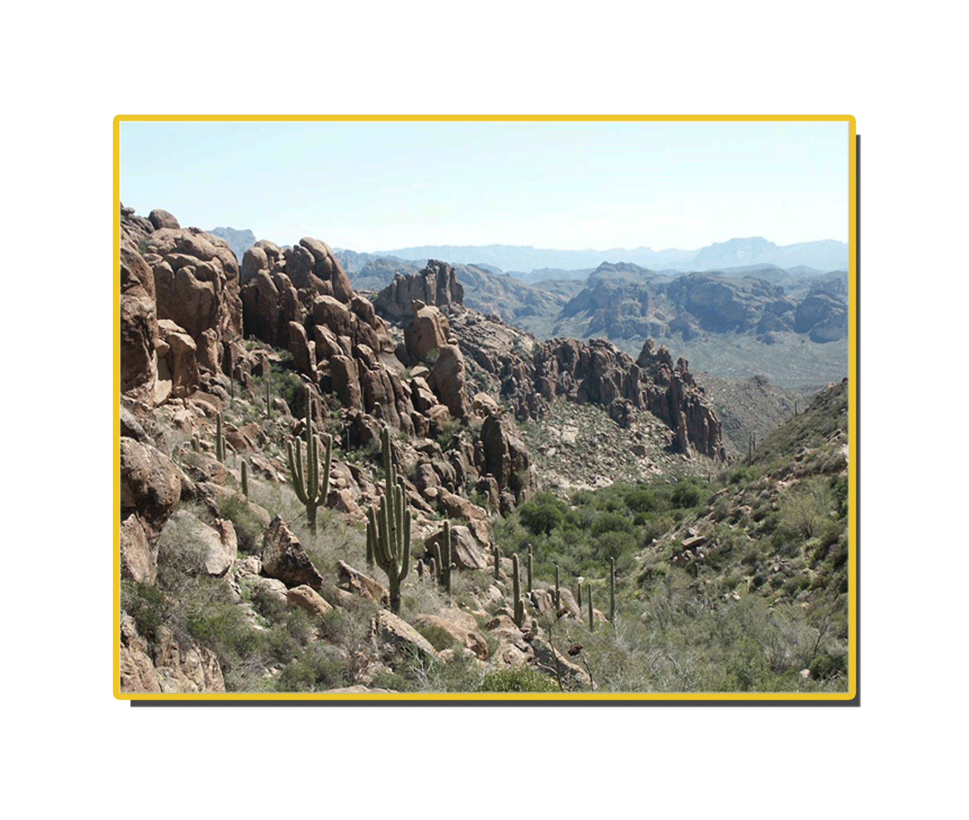 yellowhorn outfitters