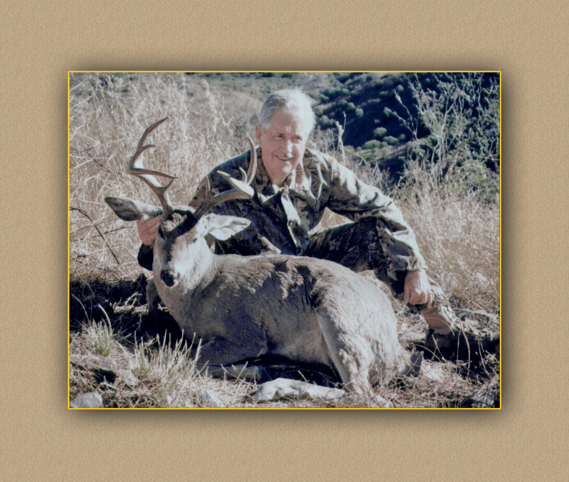 arizona hunting yellowhorn arizona bighorn sheep guiding outfitting deer elk antelope photography