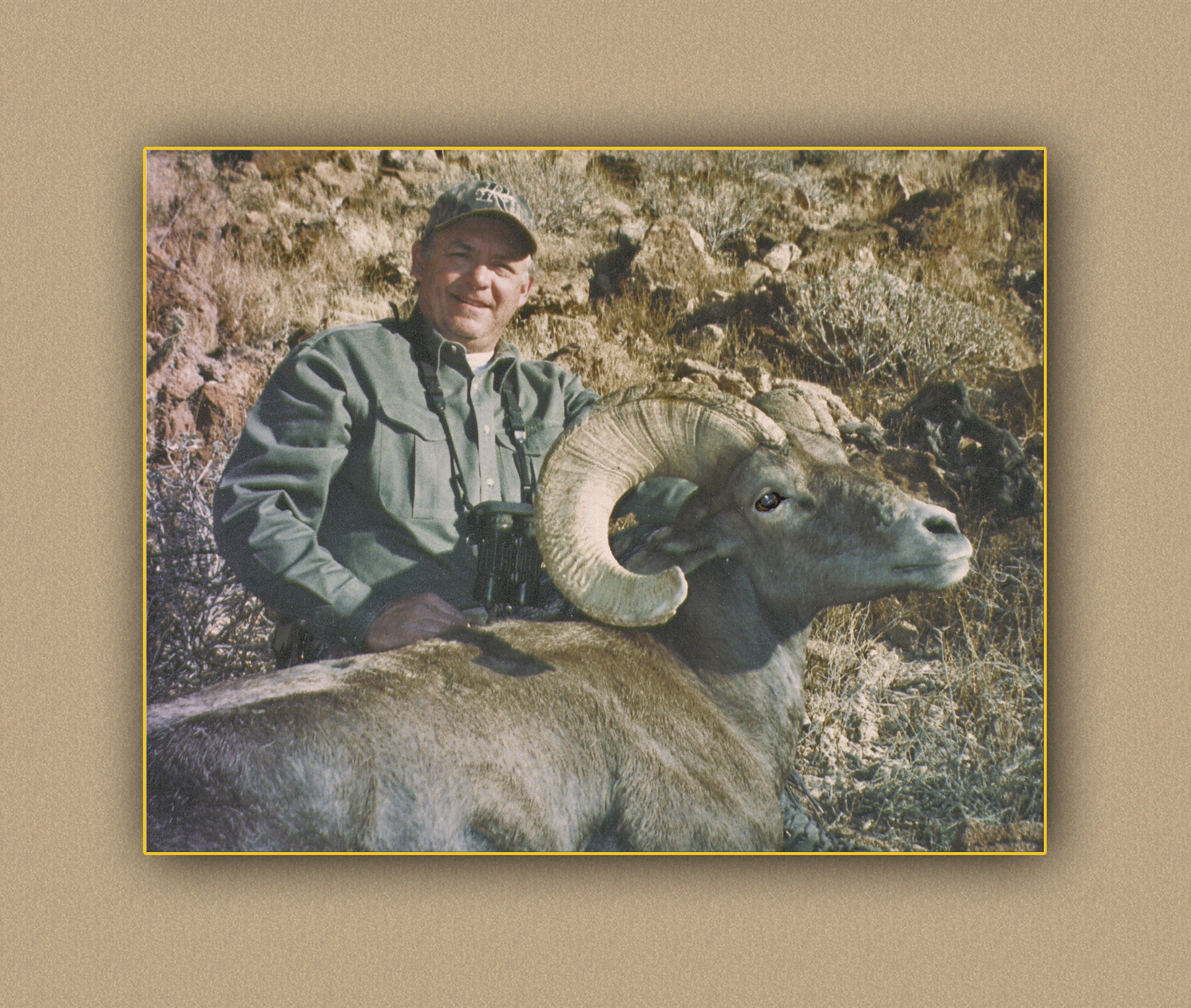 hunting yellowhorn bighorn sheep guiding outfitting deer elk antelope photography