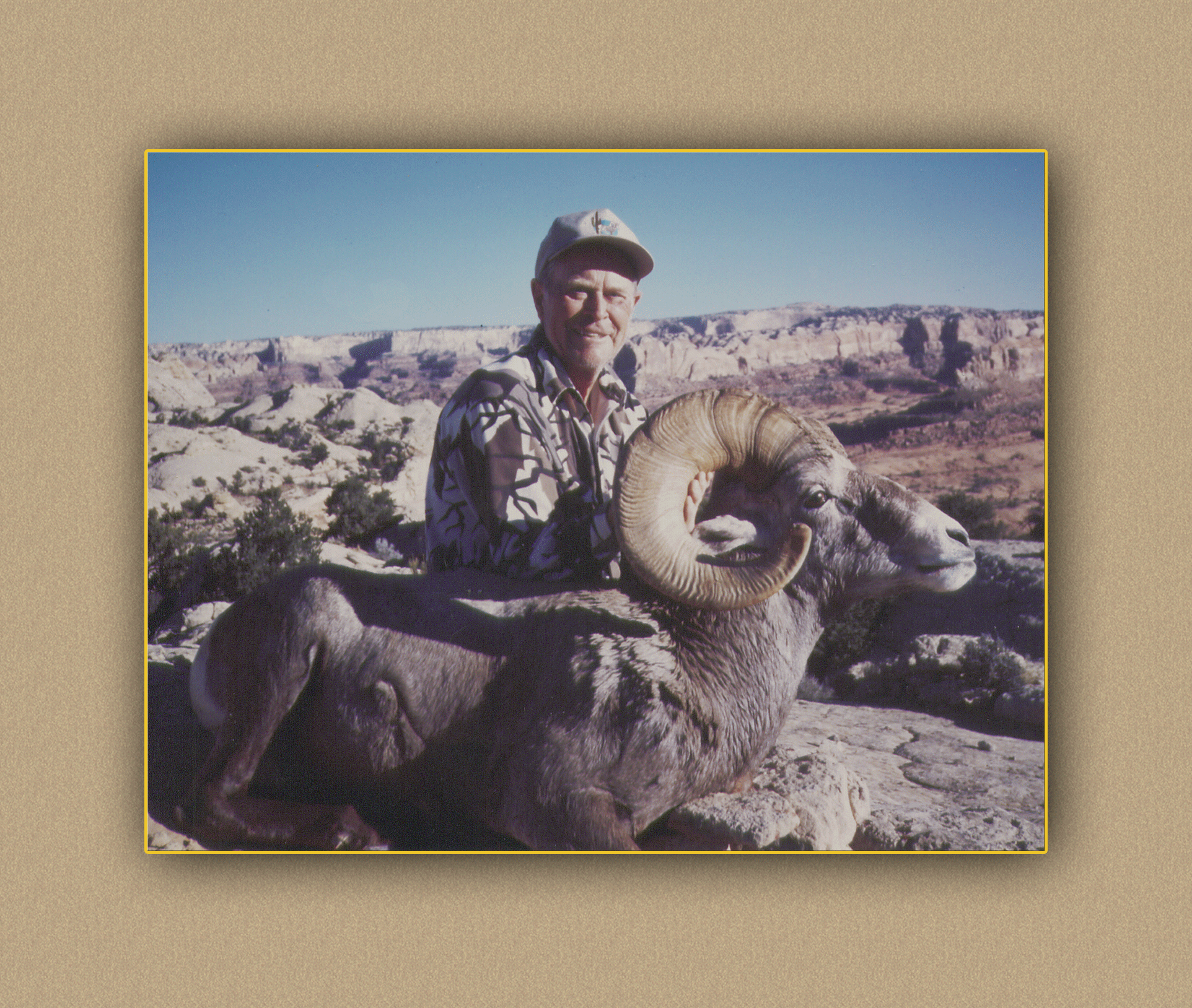 hunting yellowhorn bighorn sheep guiding outfitting deer elk antelope photography