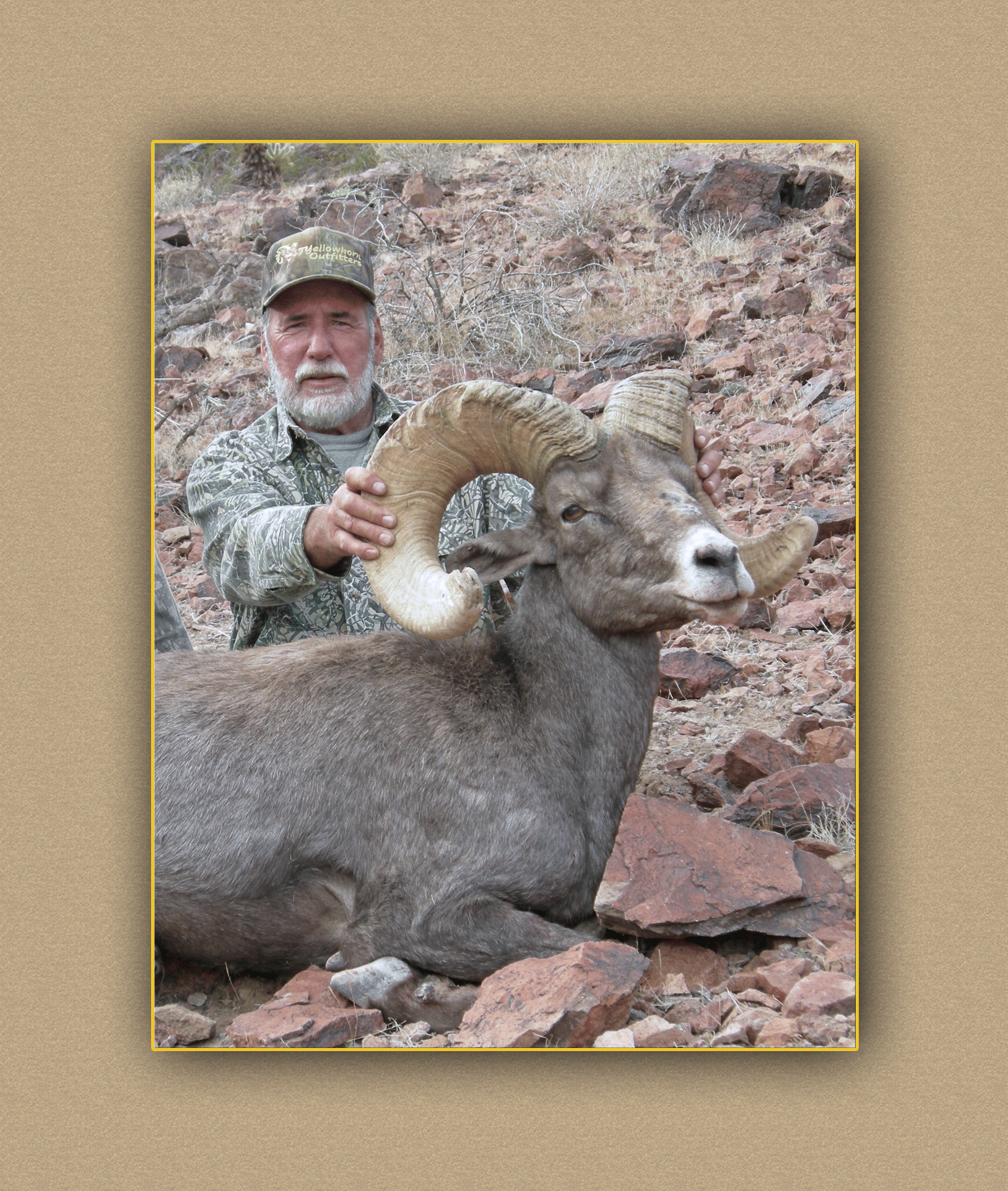 yellowhorn outfitters