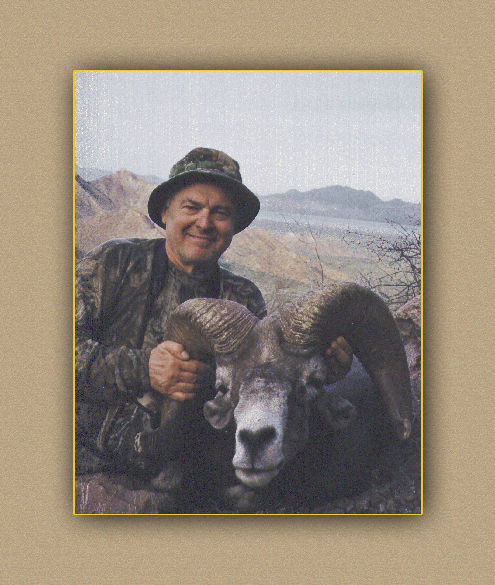 hunting yellowhorn bighorn sheep guiding outfitting deer elk antelope photography