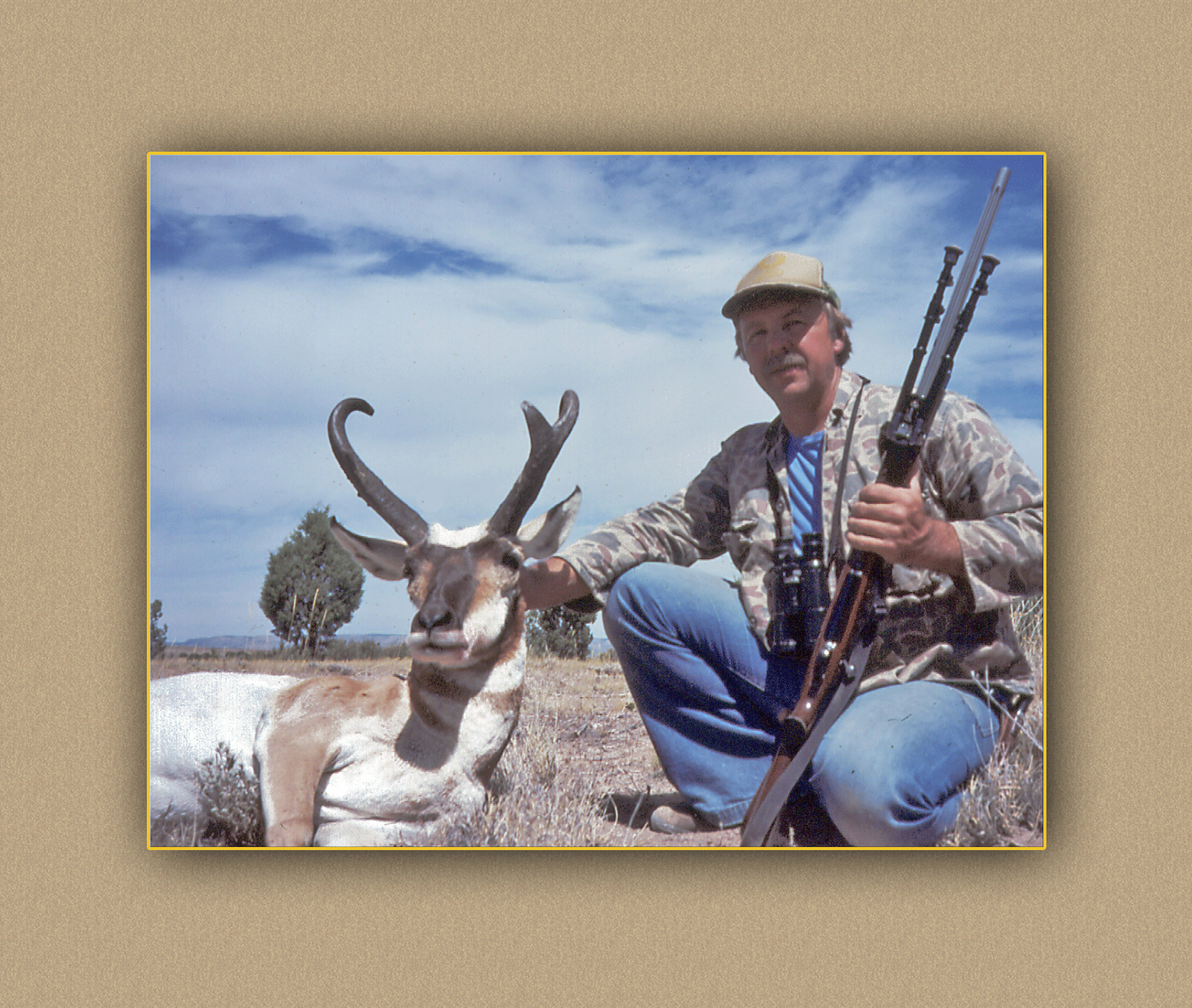 arizona hunting yellowhorn arizona bighorn sheep guiding outfitting deer elk antelope photography