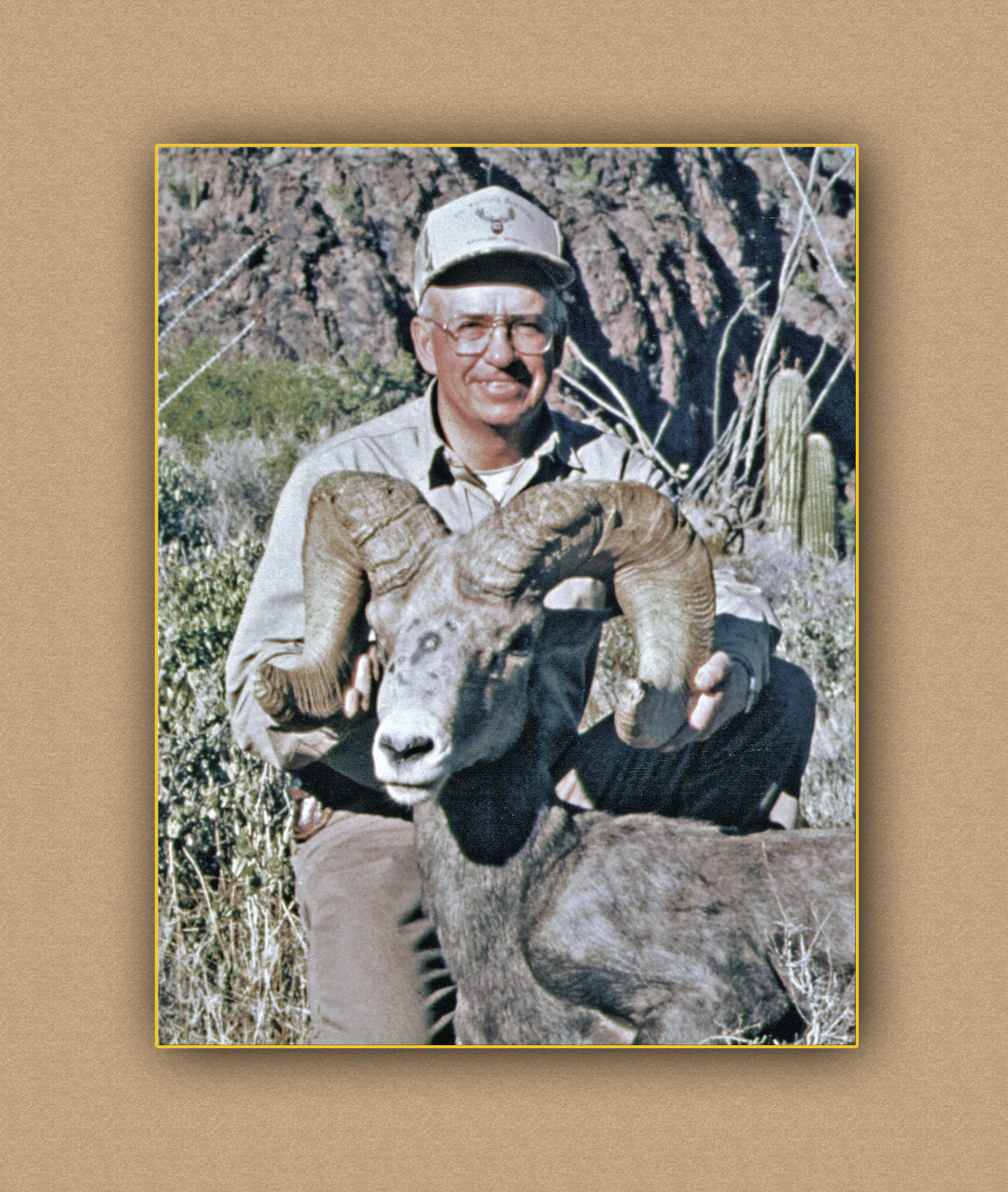 arizona hunting yellowhorn arizona bighorn sheep guiding outfitting deer elk antelope photography