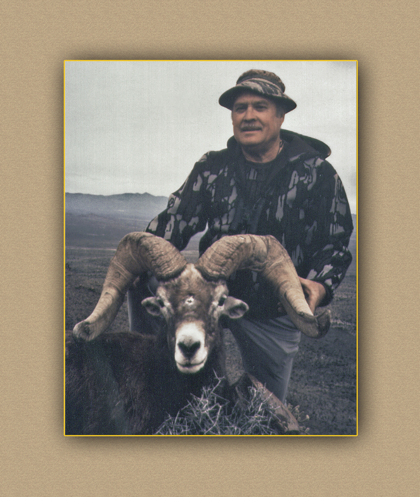 hunting yellowhorn guiding outfitting deer elk bighorn sheep antelope photography