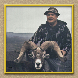 yellowhorn outfitters arizona hunting yellowhorn outfitters arizona bighorn sheep guiding outfitting deer elk antelope photography