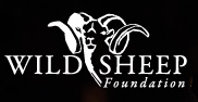 wild sheep foundation