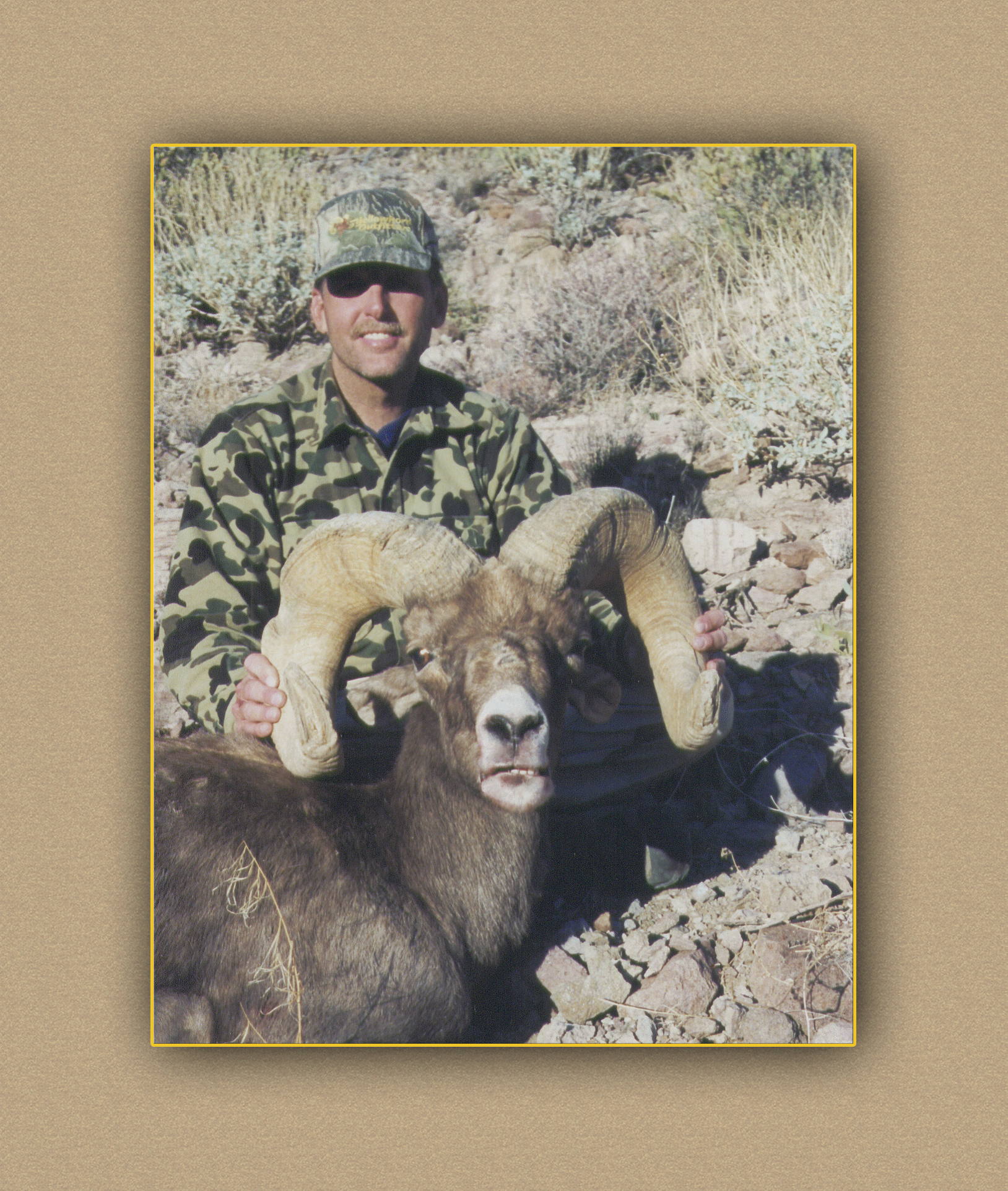 arizona hunting yellowhorn arizona bighorn sheep guiding outfitting deer elk antelope photography