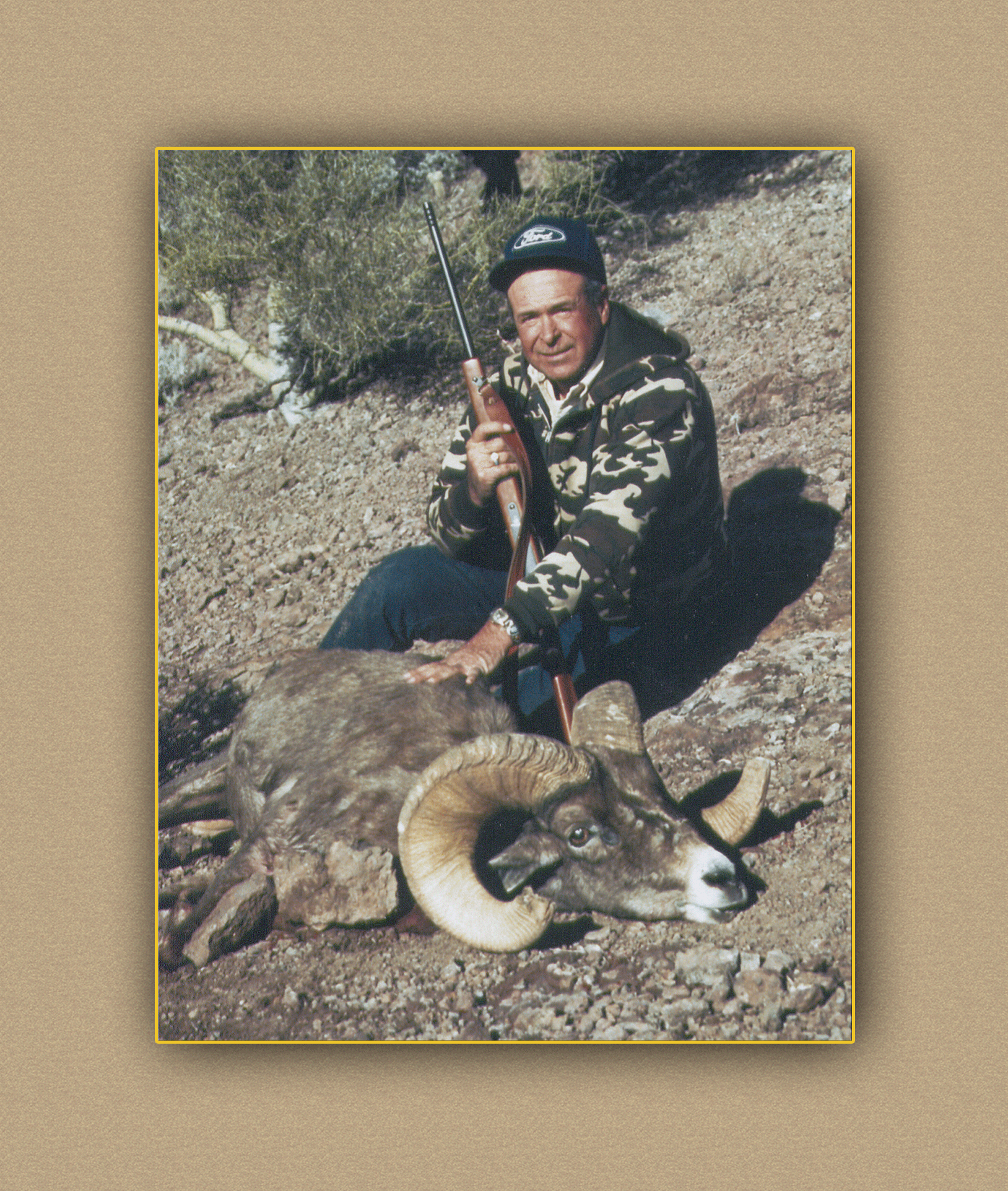 arizona hunting yellowhorn arizona bighorn sheep guiding outfitting deer elk antelope photography