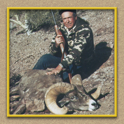 yellowhorn outfitters arizona hunting yellowhorn outfitters arizona bighorn sheep guiding outfitting deer elk antelope photography